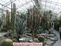 Botanischer Garten